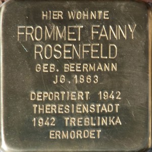 DSC_2359_Frommet-Fanny-Rosenfeld_Stein